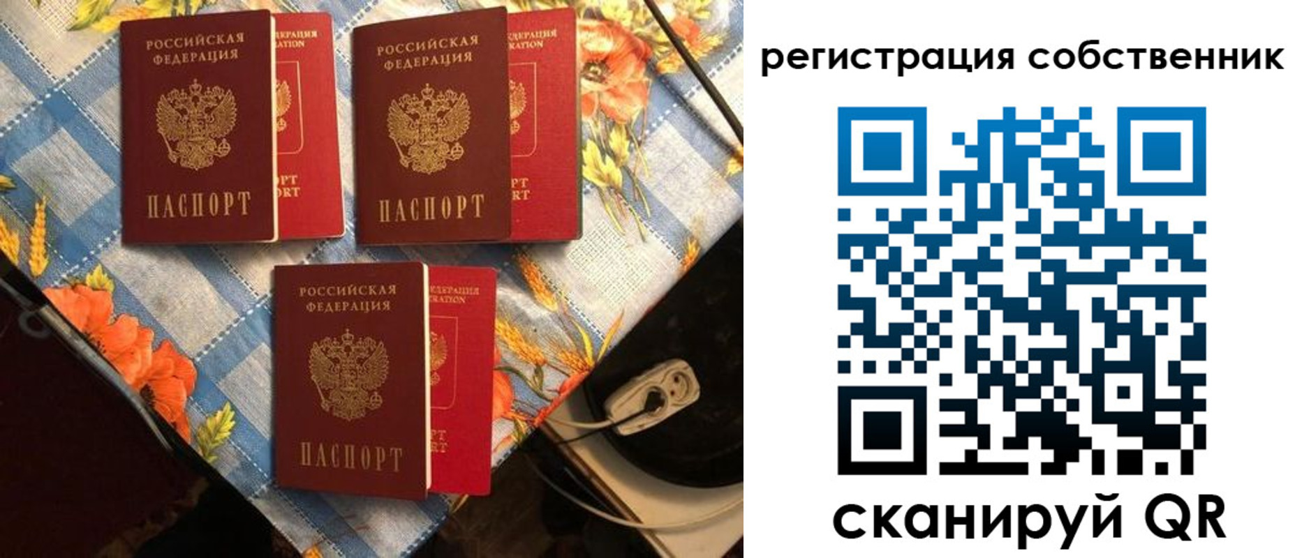прописка в Мончегорске